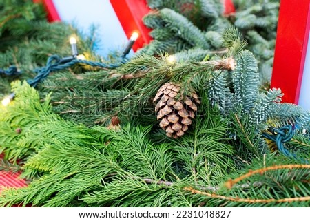 Christmas card. Christmas tree. Decoration.
