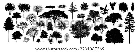 Tree silhouettes, Side view black, set of graphics trees elements outline symbol for architecture and landscape design drawing. Vector illustration in stroke fill . Tropical, oak, maple, poplar