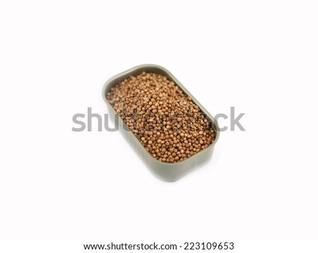 Dried coriander seeds in can