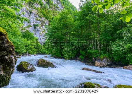 Mountain alpine stormy river in the tropical forest. The mountain river or stream raging in a flash flood.