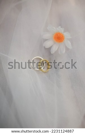 High Angle View Of Wedding Rings On Fabric At Table