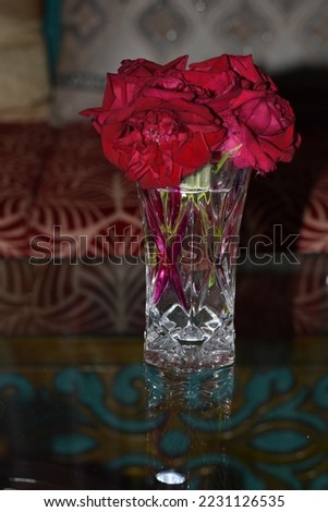  The perfect red rose pictures
