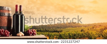 Red wine bottles, barrel, grapes and vineyard in the background: wine making and wine tasting experience, banner with copy space