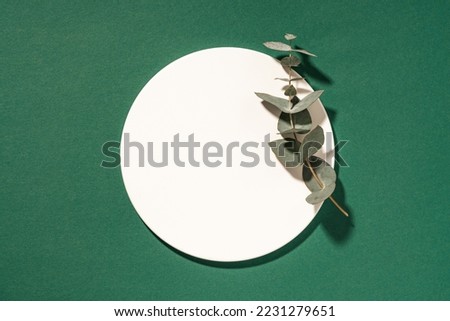 Empty white circle mockup podium with eucalyptus branch for cosmetic product presentation on a green background. Trendy design flat lay with copy space. Top view.