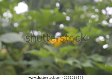 photo of defocused nature abstract background 