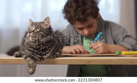 gray tabby cat lies on a table in the background an Asian boy draws with felt-tip pens. Child make homework with pet. Funny kitten sitting on table where kid is writing. Back to school