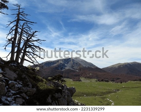 Climbing towards the Serra delle Ciavole with the Piana del Pollino below and in the background Monte Pollino and the Serra del Prete. Pollino National Park.

 Royalty-Free Stock Photo #2231339299