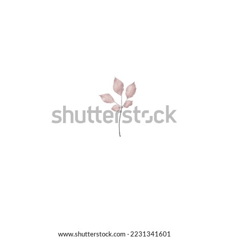 Illustration with pink leaves on branches. Botanical print on white background. For books, paper, menu design, textile, fabric, logo, stickers. Isolated