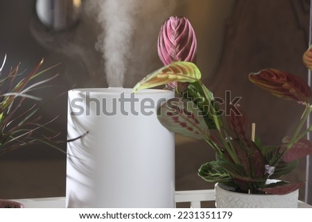 Ultrasonic white humidifier on the windowsill sprays water vapor among domestic plants. Sunny morning. Humidification of the air at home.  Royalty-Free Stock Photo #2231351179