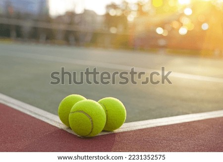              tennis ball on the court                   