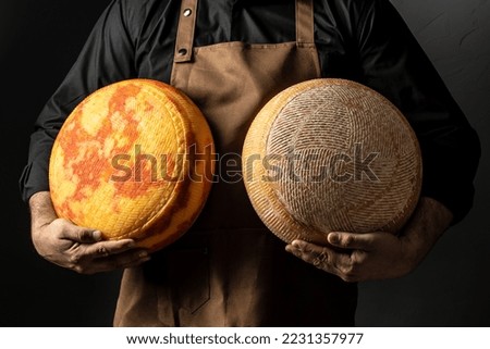 Big yellow cheese wheel in seller hands. cheese in man's cheesemaker hands. marble cheese.