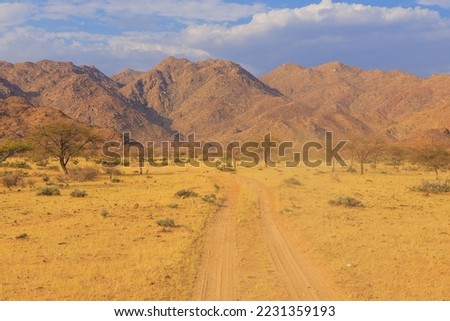 Namibian landscape. African savannah during a hot day.Red ground. Solitaire, Namibia. Royalty-Free Stock Photo #2231359193