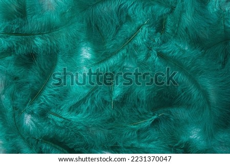 The background is made of bird feathers of emerald color. The texture of the feathers. Close-up.