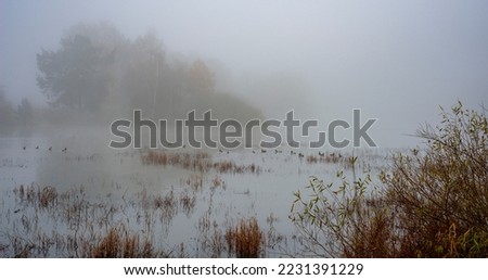 Autumn landscape with lake and trees in fog