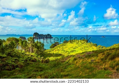 Road to the Cathedral Cove on the North Island. Hills with yellowed grass and clouds over the evening tide. Pacific Ocean, New Zealand. The concept of active, exotic, ecological and photo tourism