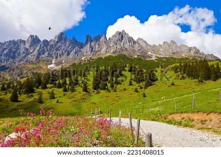 
Summer hiking trails in Salzburger Land Royalty-Free Stock Photo #2231408015