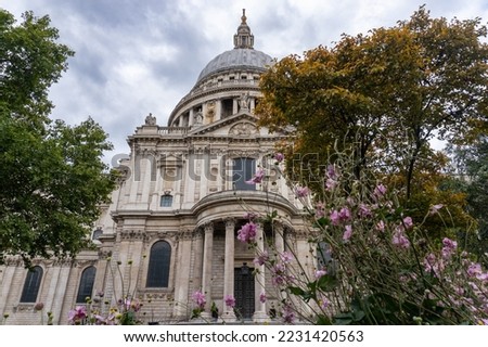 St Paul's Cathedral from the south in autumn. Anglican cathedral in London is seat of the Bishop of London. On Ludgate Hill, highest point of the City of London. Japanese anemones flowers, no people.
