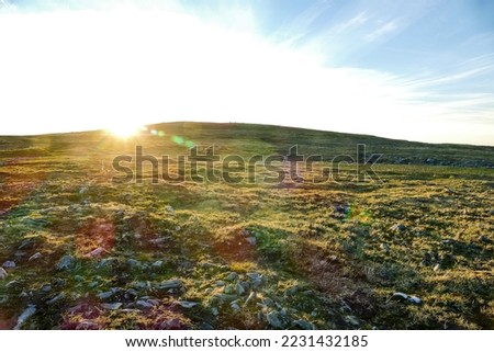 sunset over green field, beautiful photo digital picture