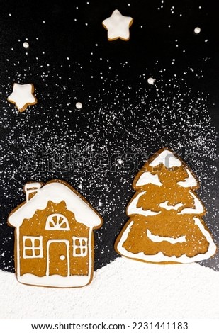 Christmas night concept. Gingerbread in the form of a house, a Christmas tree and stars in the sky.