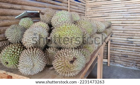 The durian is the edible fruit of several tree species belonging to the genus Durio. There are 30 recognised Durio species, at least nine of which produce edible fruit. Durio zibethinus,  Royalty-Free Stock Photo #2231473263