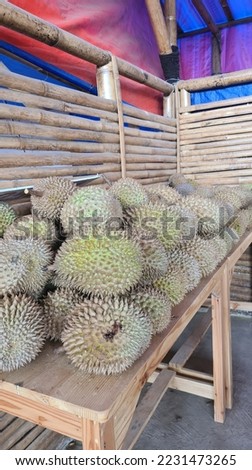The durian is the edible fruit of several tree species belonging to the genus Durio. There are 30 recognised Durio species, at least nine of which produce edible fruit. Durio zibethinus,  Royalty-Free Stock Photo #2231473265