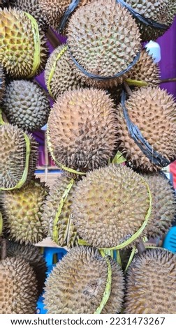 The durian is the edible fruit of several tree species belonging to the genus Durio. There are 30 recognised Durio species, at least nine of which produce edible fruit. Durio zibethinus,  Royalty-Free Stock Photo #2231473267