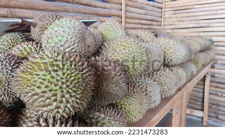 The durian is the edible fruit of several tree species belonging to the genus Durio. There are 30 recognised Durio species, at least nine of which produce edible fruit. Durio zibethinus,  Royalty-Free Stock Photo #2231473283