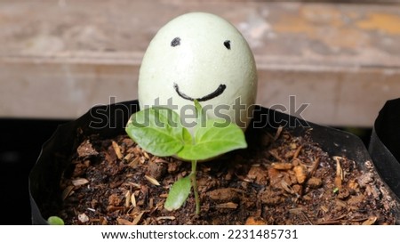 a smiling egg represents one's happiness with a leaf representing coolness, on the ground