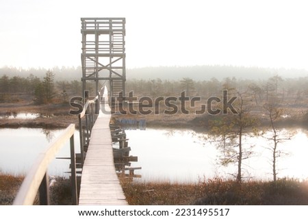 Wooden Watchtower in Misty Männikjärve Bog, Jõgeva County, Estonia