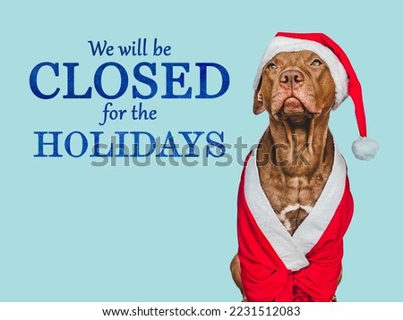Signboard with the inscription We will be closed for the Holidays. Charming brown dog and Christmas decorations. Close-up, indoors. Studio shot. Pet care concept. Sign for shop, store and sales