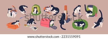 Cute cat and supplies. Funny kitty playing with toy, sleeping in cushion bed, in carrier, box, bag, at scratching post. Feline animals activities, life, stuff set. Isolated flat vector illustrations Royalty-Free Stock Photo #2231559091
