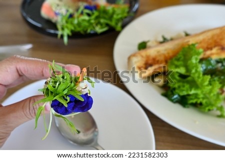 Organic fresh morning glory sprout with butterfly pea flowers roll, raw food healthy eating lifestyle daily . good nutrition high quality good delicious tasty food concept
