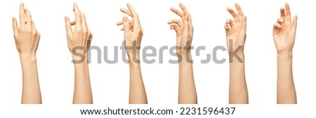 Elegant female palm or wrist isolated on white. Variation beautiful woman palm with bent fingers. Front and back view Royalty-Free Stock Photo #2231596437