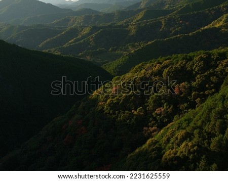 A view of the mountains with a few autumn leaves