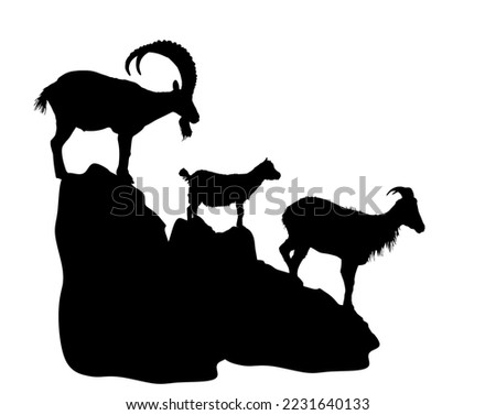Mountain alps goats on rock on top of the hill vector silhouette illustration isolated on white background. Wild animal symbol. Ibex goat couple, male and female with goatling. Wildlife animal family Royalty-Free Stock Photo #2231640133