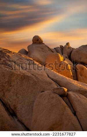 Rocks in Joshua Tree National Park, California, USA