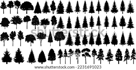 silhouette of christmas tree, pine, spruce set design vector isolated