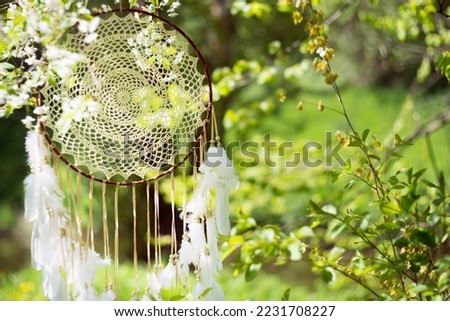 Decorative dreamcatcher on forest nature background