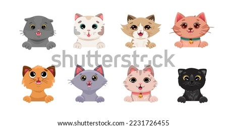 Big set of cute cat portraits of different breeds. Bundle of pet animals isolated on white background. Cartoon vector illustration with funny and happy kitten characters