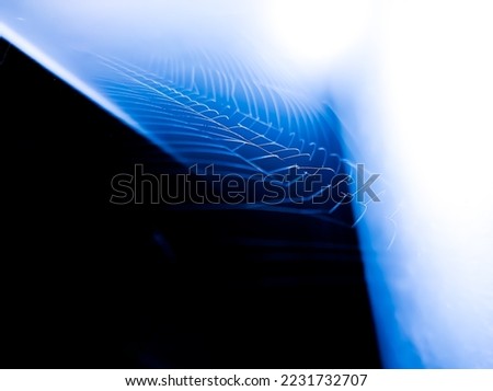 Spider web in dark blue