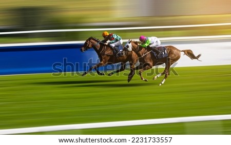 Two jockeys compete to win the race. Horse racing. Horses with jockeys running towards finish line. Royalty-Free Stock Photo #2231733557
