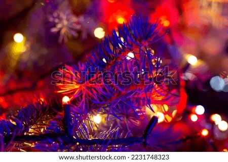 Christmas tree in the dark in a blue glow. Christmas and New Year background for design. Happy holidays. Selective focus, defocus