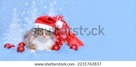 Cat in a Xmas red hat. Happy New Year. Cat with christmas balls, gifts and decoration. Santa Claus's red bag. Presents. Gift. Snowy Christmas trees snowflakes. Snow. Holiday web banner with copy space