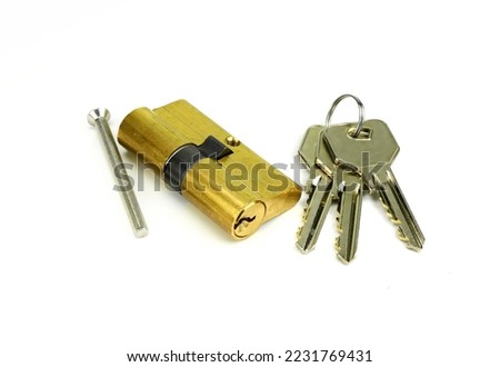 Pin tumbler of cylinder lock internal mechanism with keys on white background. New door lock with a bunch of keys on a white background.