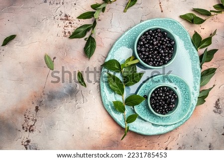 Superfood MAQUI BERRY. Superfoods antioxidant of indian mapuche, Chile. Bowl of fresh maqui berry and maqui berry tree branch, Long banner format. top view, Royalty-Free Stock Photo #2231785453