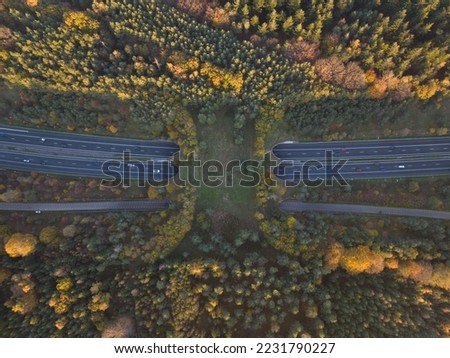 Ecoduct, ecopassage, nature bridge or game changeover. Infrastructure structure for animals and other wildlife to cross traffic, passage over a highway. Nature and man made objects merge. Royalty-Free Stock Photo #2231790227
