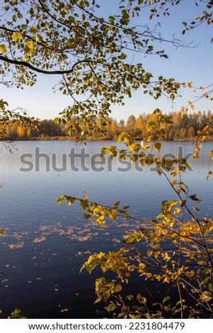 Autumn landscape with a pond. Trees with yellow foliage are reflected in the water.