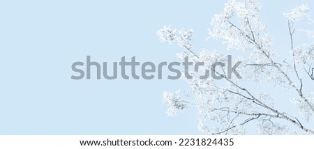 Snowy tree branches in blue sky, winter nature background, copy space Royalty-Free Stock Photo #2231824435