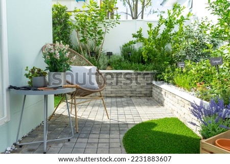 Home vegetables growing in a raised bed in a small garden of back yard home. Royalty-Free Stock Photo #2231883607