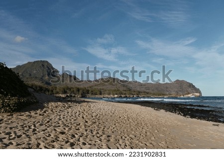 Sandy beach on a tropical island with mountain in the background